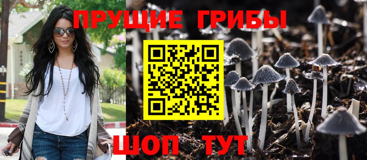 Альметьевск  Галлюциногенные грибы мухоморы  Вход с VPN 
