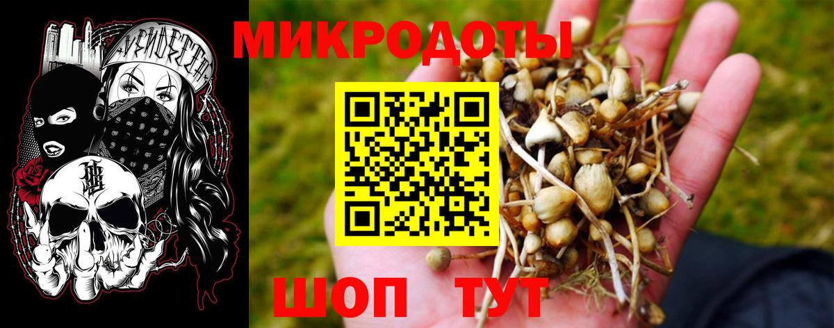 Псилоцибиновые грибы Psilocybine cubensis Альметьевск